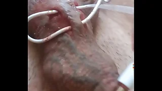 557 humiliation porn videos
